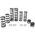 Zbroz Stage 1 Spring Kit, Live Valve Pro XP