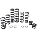 Polaris RZR PRO XP Stage 1 Dual Rate Spring Kit (Fox Dynamix Shock)