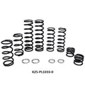 Polaris RZR PRO XP 4 Stage 1 Dual Rate Spring Kit (Fox Dynamix Shock)