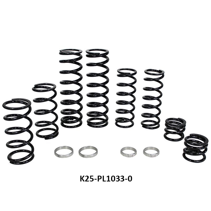 Polaris RZR PRO XP 4 Stage 1 Dual Rate Spring Kit (Fox Dynamix Shock)
