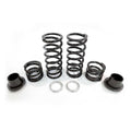 Polaris RZR XP 1000/Turbo Tender Spring Kit Walker Evans Needle Shock (2014-2024)