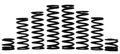 Polaris, RZR XP S, Walker Evans Spring Kit, 4 Seat (2026)