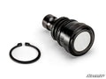 Polaris Ranger 1000 300M Ball Joints (Lower) by SuperATV